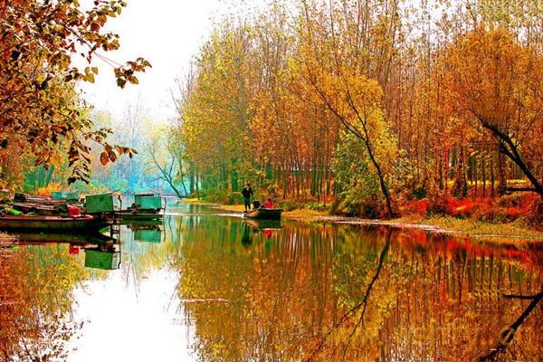10月8日微山湖旅游区对济宁市户籍游客免门票