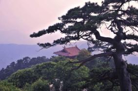 景忠山旅游攻略一日游