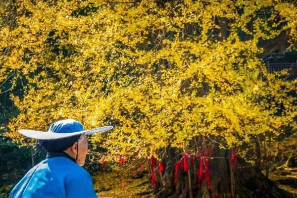 贵州秋季有哪些赏秋的好地方推荐