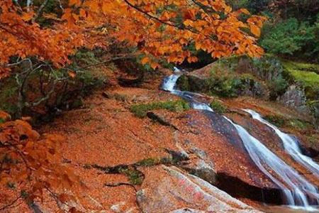 光雾山红叶节最好的拍摄地点和时间