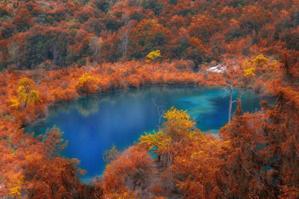 四川最美的彩林在哪里