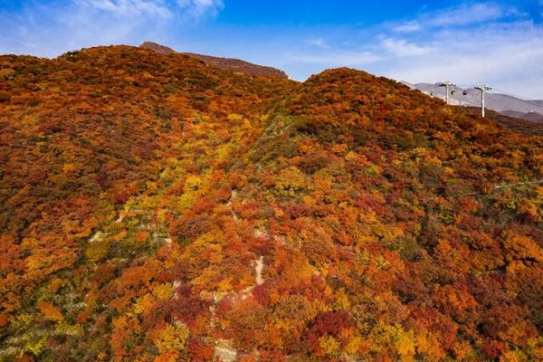 坡峰岭红叶最佳时间2023