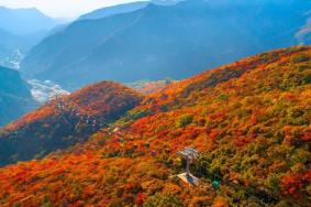 坡峰岭红叶最佳观赏期攻略2023