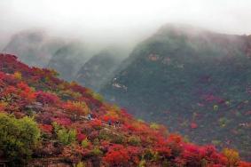 北京看紅葉最佳景點