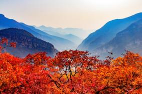 坡峰嶺幾月份去好