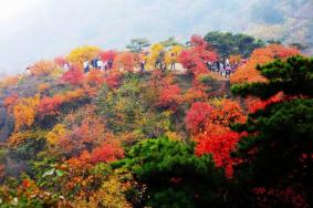 北京爬香山的忌讳