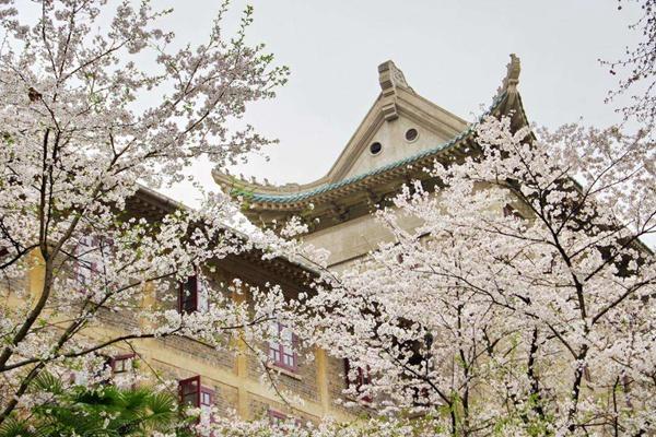 去武汉大学看樱花要门票吗