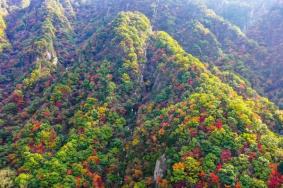 2023老界岭秋季红叶彩林观赏攻略 附赏秋线路、最佳观赏时间等信息