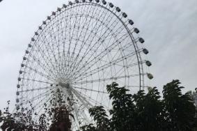 凤岭儿童公园游乐项目