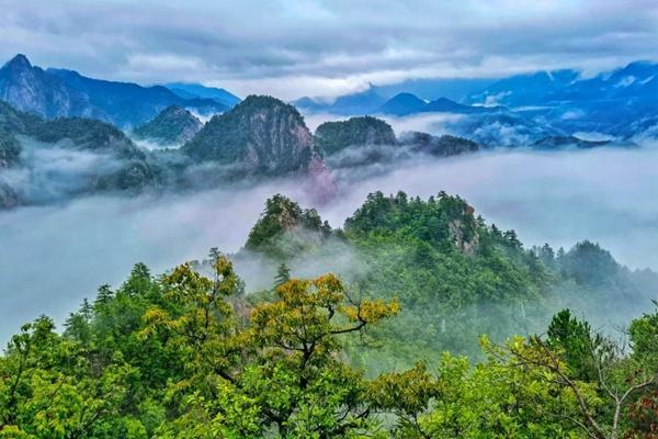 老界嶺風景區門票價格