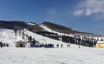 2023大連歡樂雪世界游玩攻略 - 門票價格 - 開放時間 - 簡介 - 地址 - 交通 - 天氣 - 電話