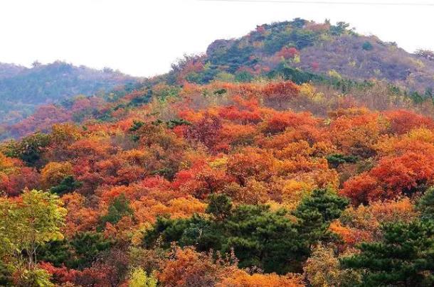 北京昌平賞秋景點(diǎn)有哪些地方