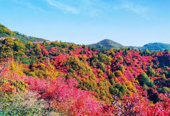 武漢紅葉哪里看最好的地方 武漢看紅葉去哪里最好