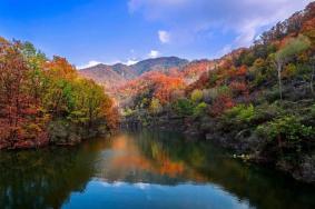 2023王屋山红叶观赏攻略 附最佳观赏时间