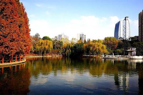 2023上海秋天最美的地方有哪些