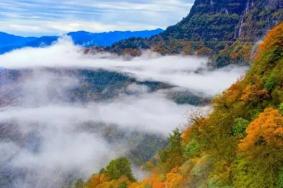 瓦屋山秋天旅游攻略