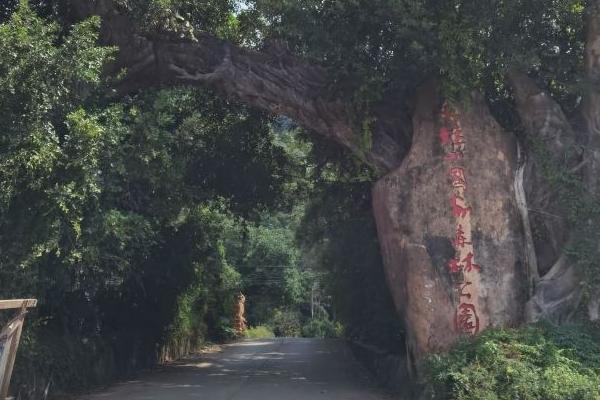大桂山国家森林公园怎么去