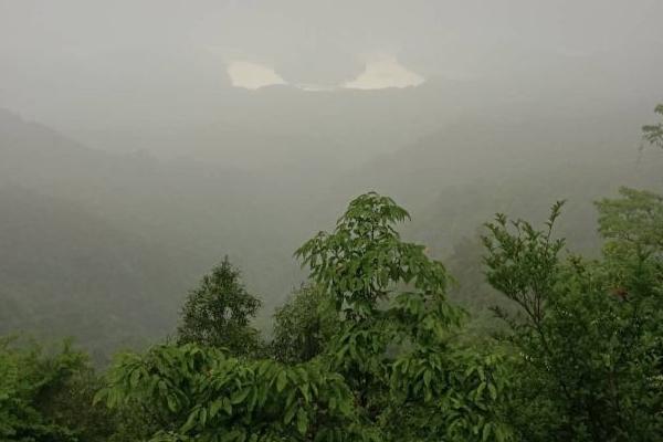 2023大桂山国家森林公园开放时间