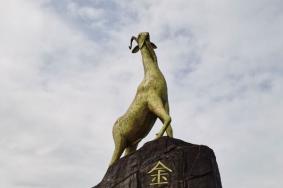 大桂山国家森林公园景点介绍