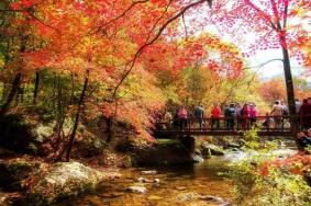 东北三省红叶最好的地方