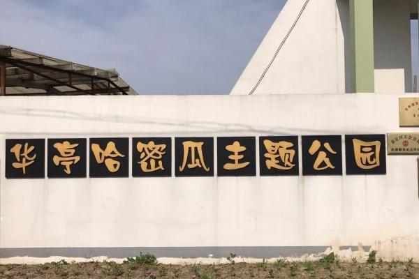 上海郊区乡村旅游攻略路线推荐