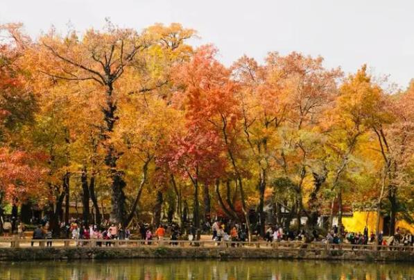 苏州天平山枫叶最佳观赏时间2023 附最佳赏枫地点