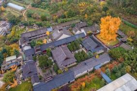 2023古观音禅寺最佳观赏时间