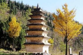 洪谷寺塔介绍