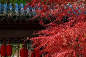 香山公园在哪里