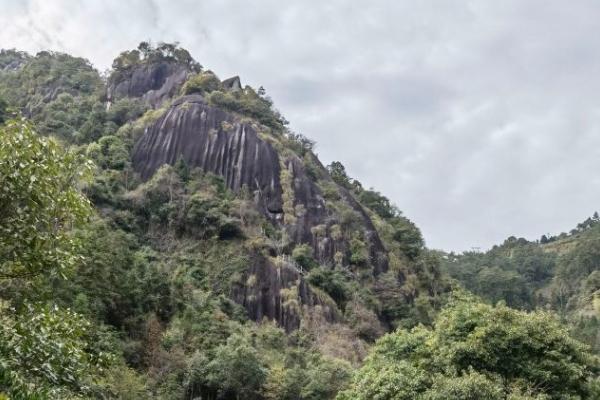 福安白云山景区车能开到山顶吗