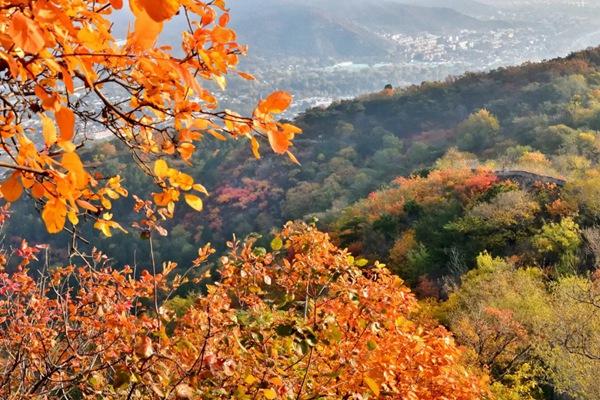 北京香山公园值得去吗