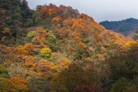 四川秋季适合旅游的地方有哪些