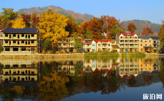 浙江指南村什么時(shí)間去最好 指南村10月紅葉紅了嗎