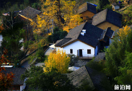 浙江指南村什么時(shí)間去最好 指南村10月紅葉紅了嗎