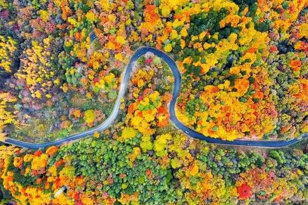 四川賞紅葉十大絕佳去處 四川紅葉觀賞地推薦