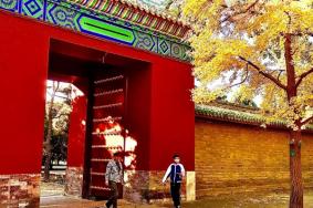 地坛公园值得去吗