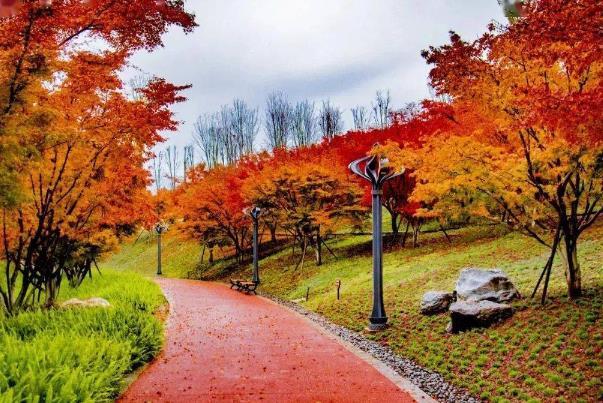 寧夏看紅葉的地方有哪些 看紅葉最佳時間