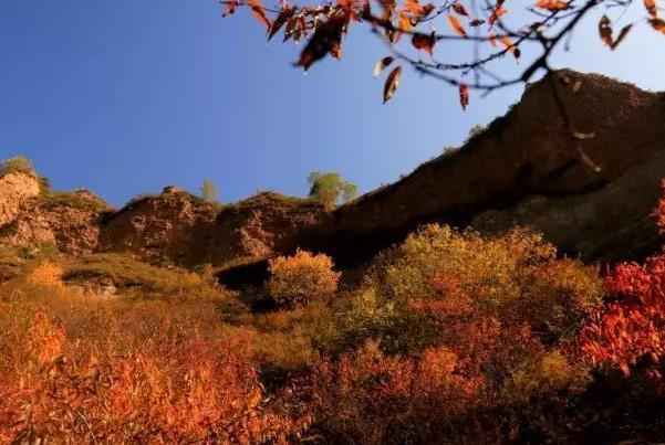 寧夏看紅葉的地方有哪些 看紅葉最佳時間