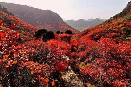 石门坊景区旅游攻略-门票价格-景点信息