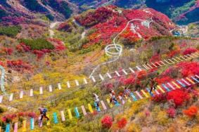 山东看红叶的地方有哪些
