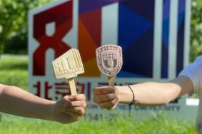 清华大学限定雪糕一共有多少款