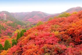 红叶谷需要游玩多久