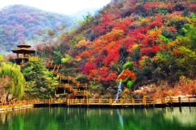 九如山买哪种门票划算