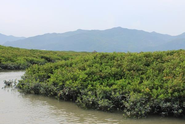 金汤湾海水温泉度假村附近有什么好玩的