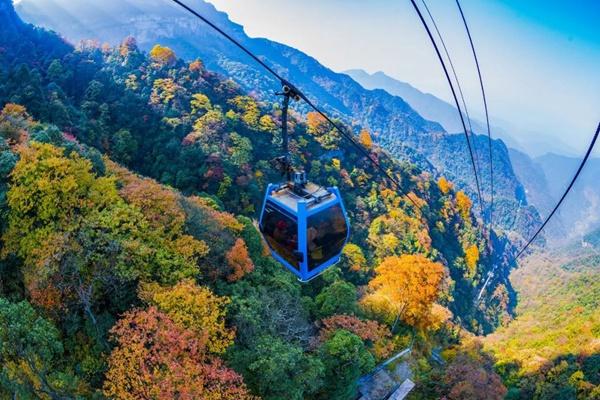 重庆秋季有哪些好看的景点景色推荐