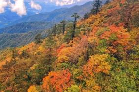 2023瓦屋山看彩林最佳时间地点