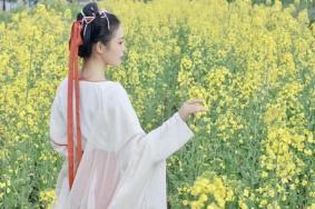 梁子湖油菜花在哪?最佳观赏时间是什么时候?