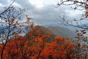 西安圭峰山游玩攻略一日游2023
