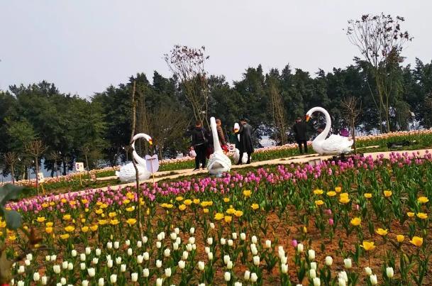 青岛西海岸秋天好玩的地方