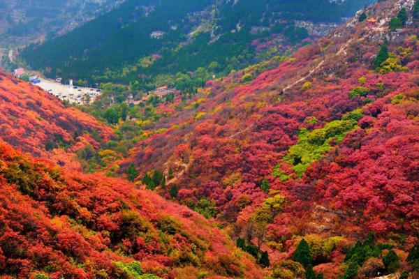 山东秋天去哪里旅游最好 秋景最美的地方